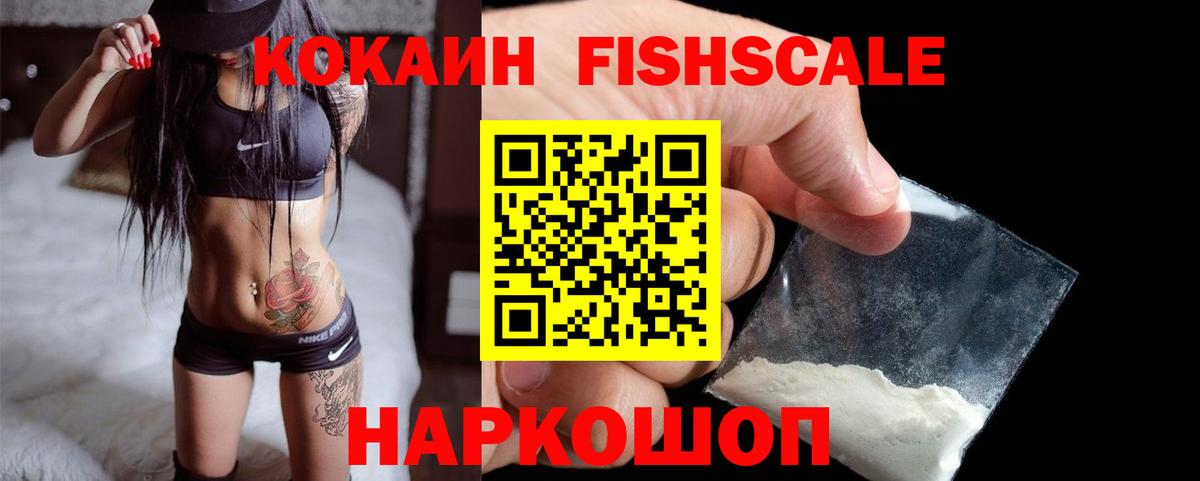 купить закладку  Вход с VPN  Северобайкальск  КОКАИН Fish Scale 