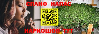 не бодяженный Нальчик