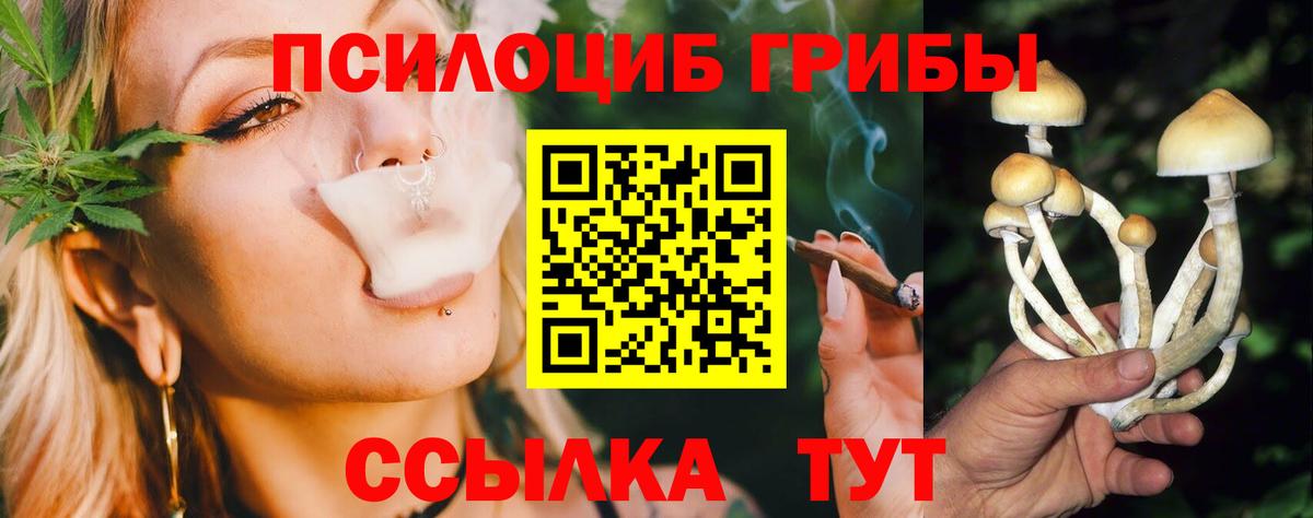 наркотики  Псилоцибиновые грибы мухоморы  Северобайкальск  Вход с VPN  Галлюциногенные грибы Psilocybe 